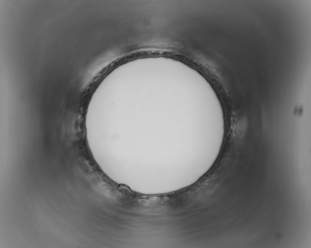 X0000110731352200907101418