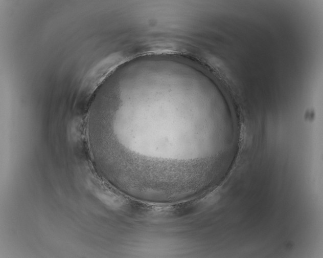 X0000110731353200907101418