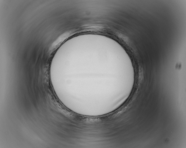 X0000110731354200907101418