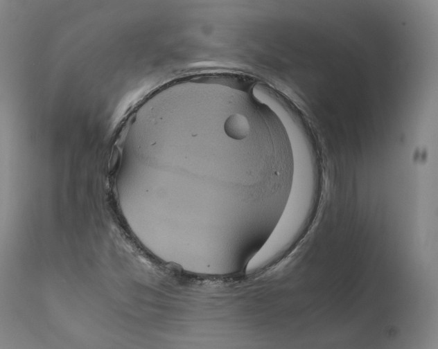 X0000110731357200907101418
