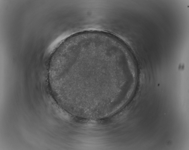 X0000110731359200907101418