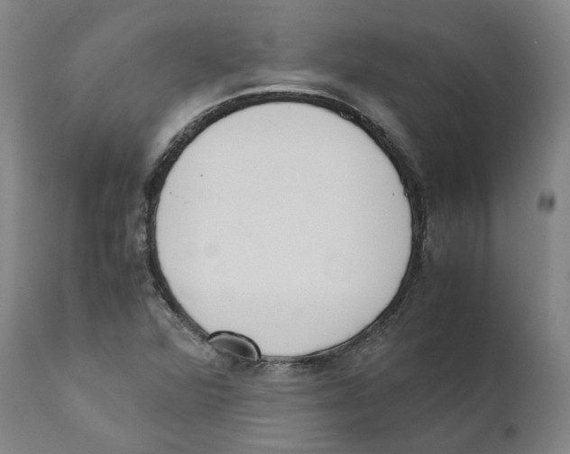 X0000110731360200907101418