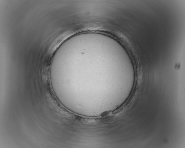 X0000110731361200907101418