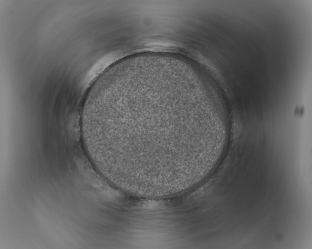 X0000110731362200907101418