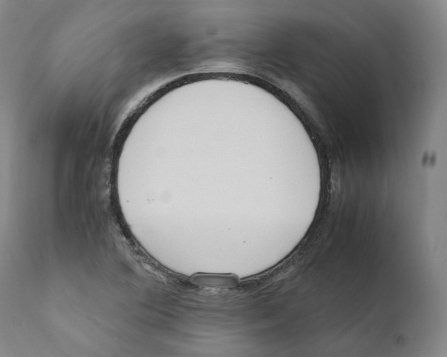 X0000110731364200907101418