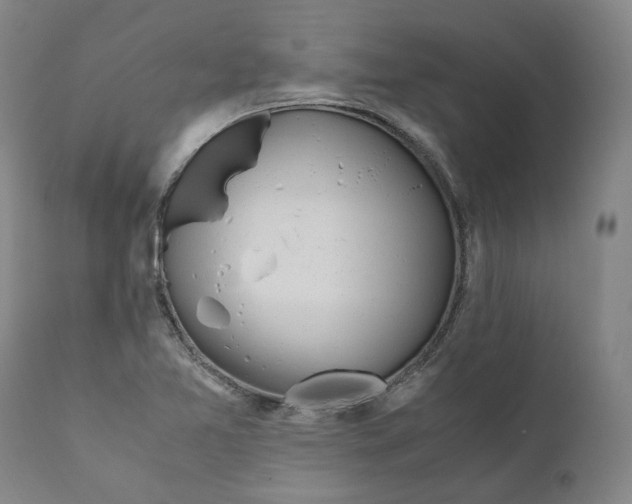 X0000110731365200907101418