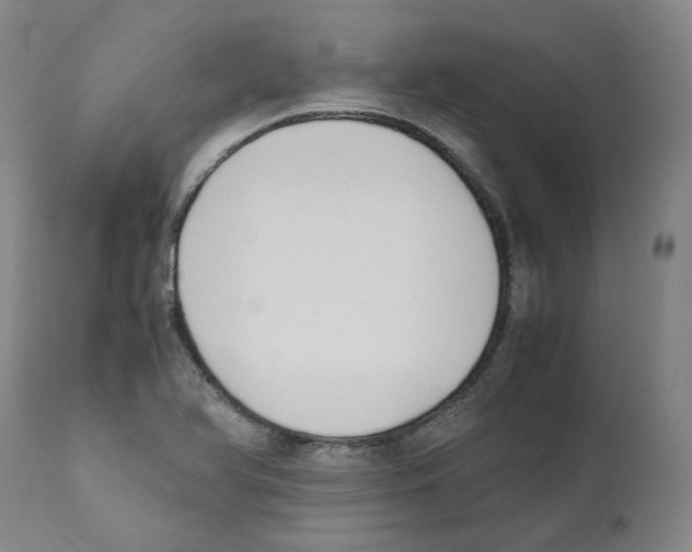 X0000110731366200907101418