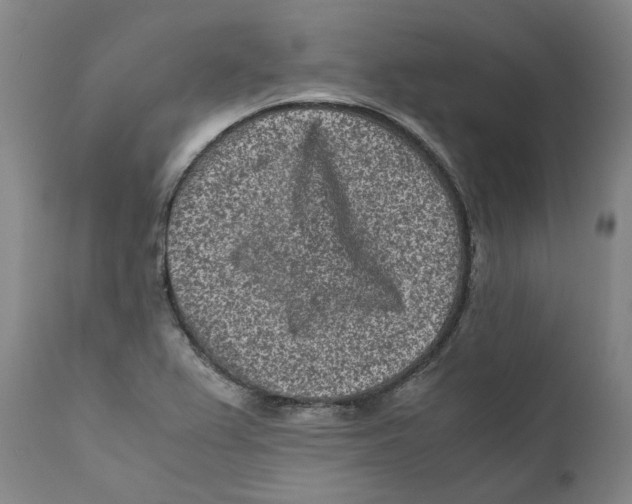 X0000110731367200907101418