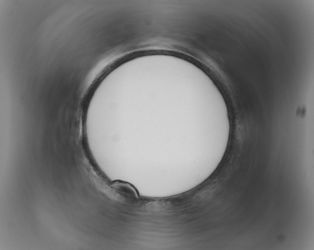 X0000110731368200907101418