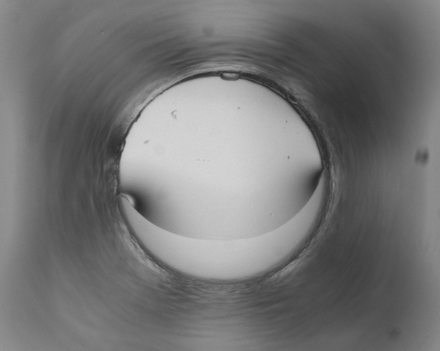 X0000110731369200907101418
