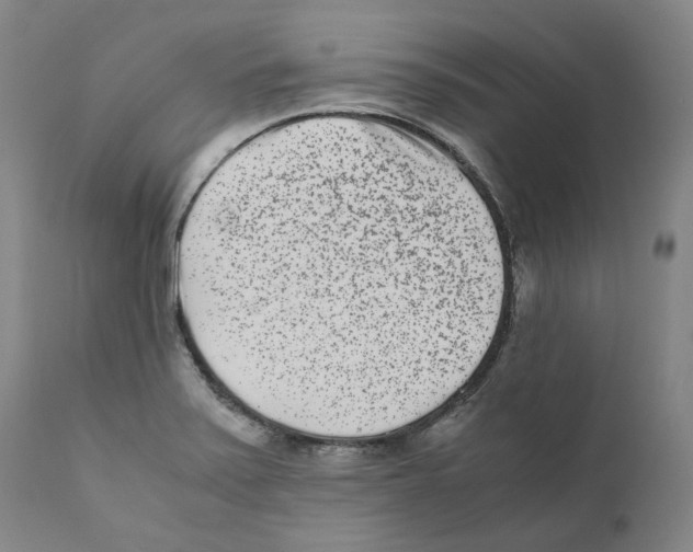 X0000110731371200907101418