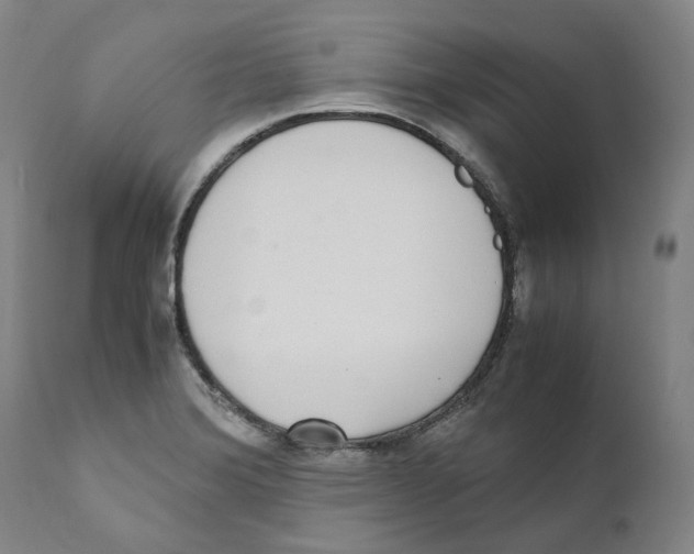 X0000110731372200907101418