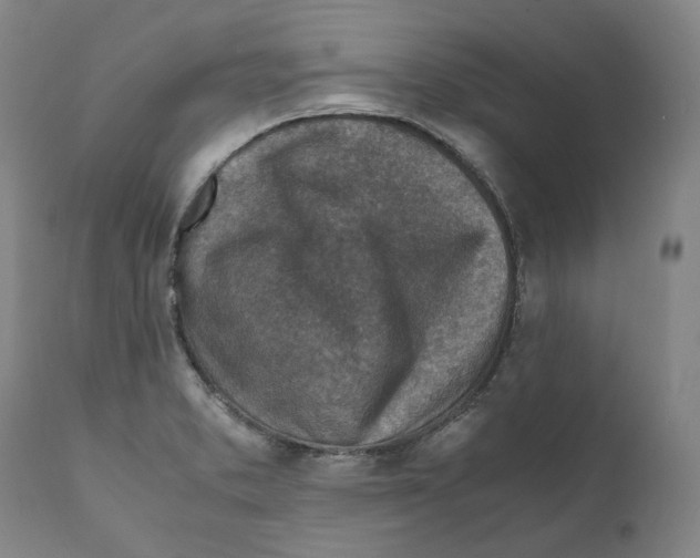 X0000110731373200907101418