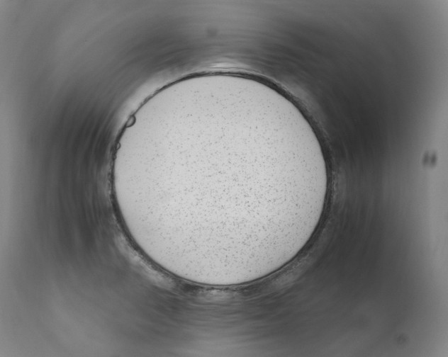 X0000110731374200907101418