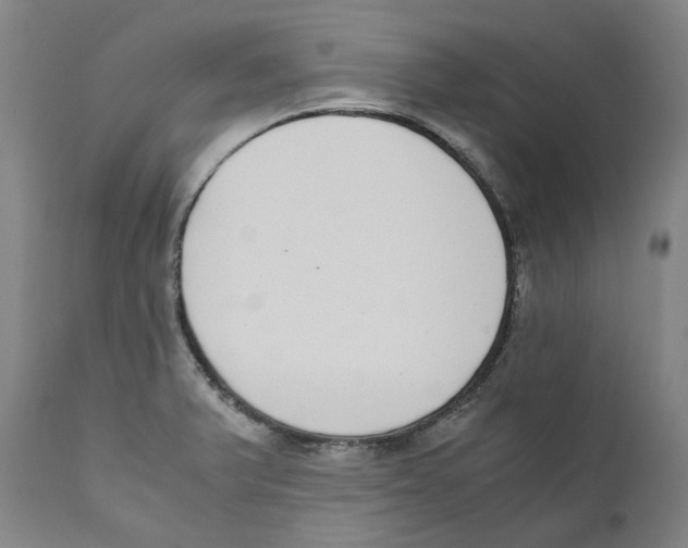 X0000110731375200907101418