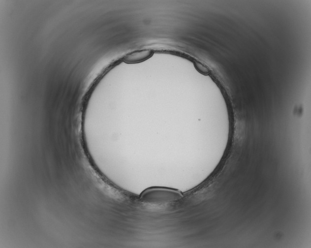 X0000110731376200907101418
