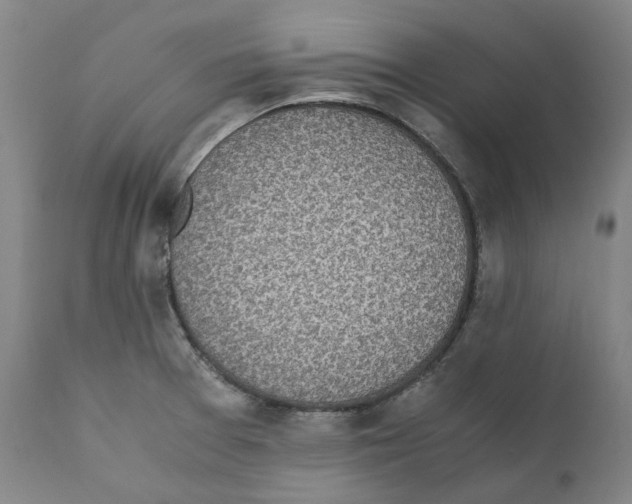 X0000110731377200907101418