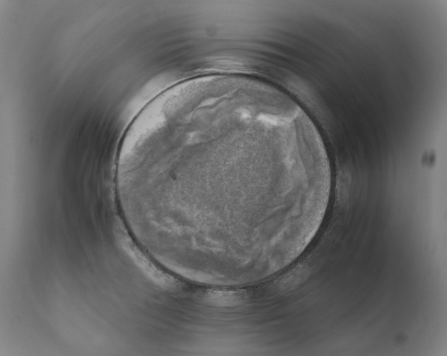 X0000110731378200907101418