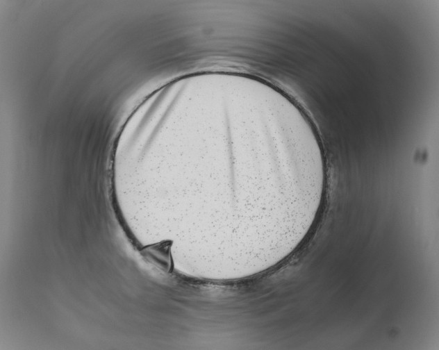 X0000110731379200907101418
