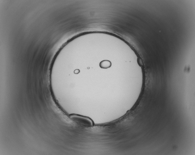 X0000110731380200907101418