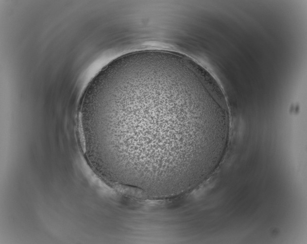 X0000110731381200907101418