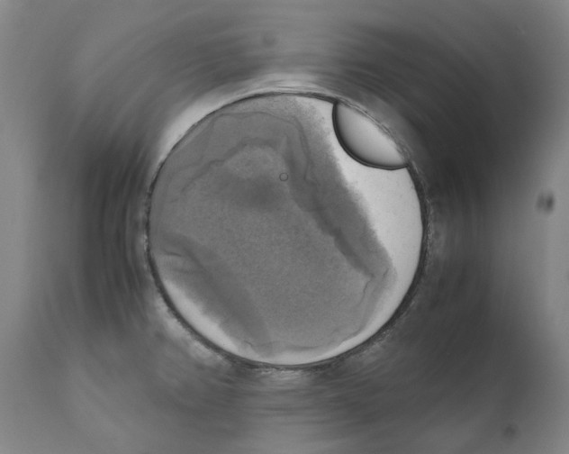 X0000110731382200907101418