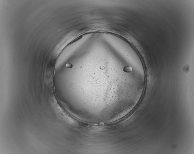 X0000110731385200907101418