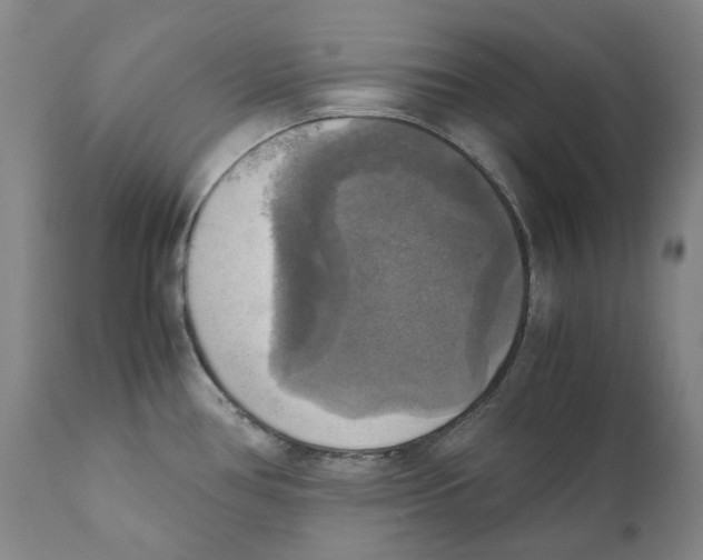 X0000110731386200907101418