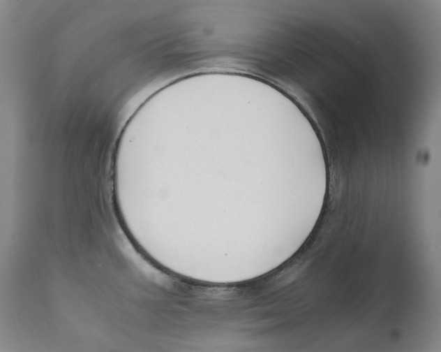 X0000110731387200907101418