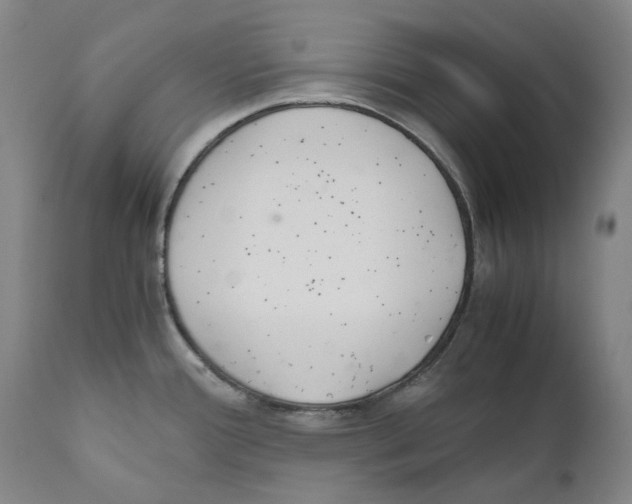 X0000110731388200907101418