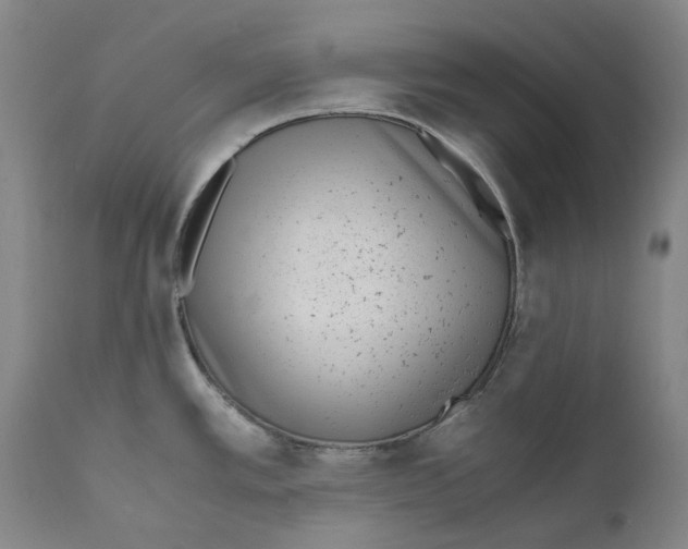 X0000110731389200907101418