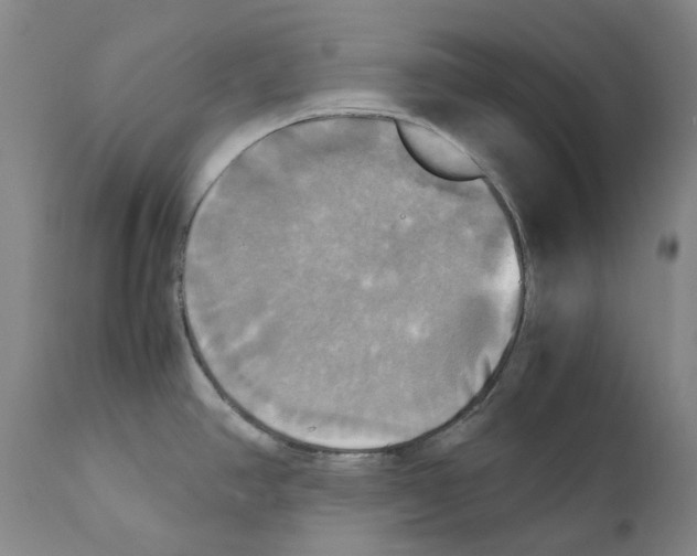 X0000110731390200907101418