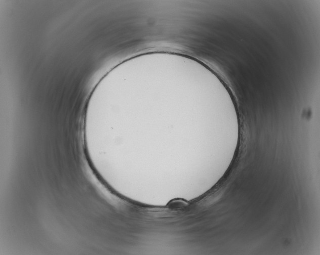 X0000110731391200907101418