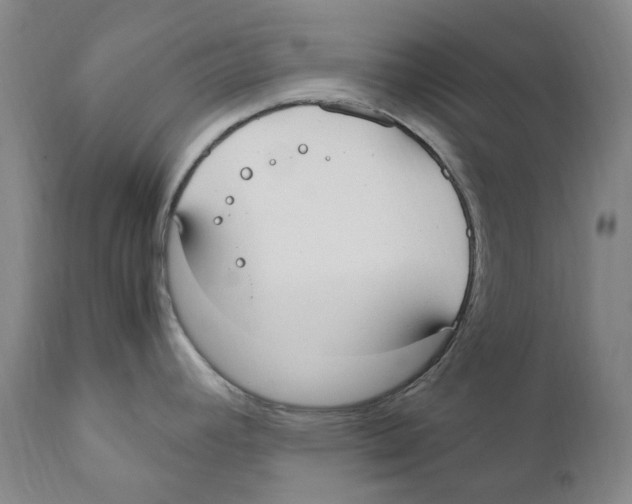 X0000110731392200907101417