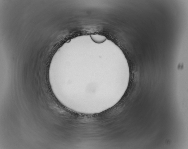 X0000110731393200907101417