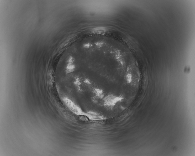 X0000110731394200907101417