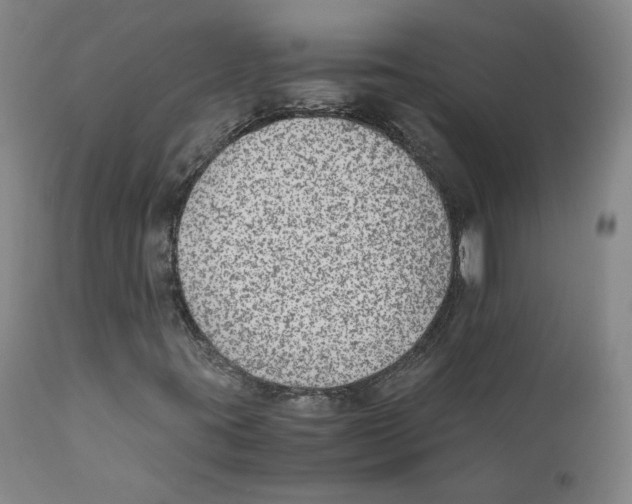 X0000110731395200907101417