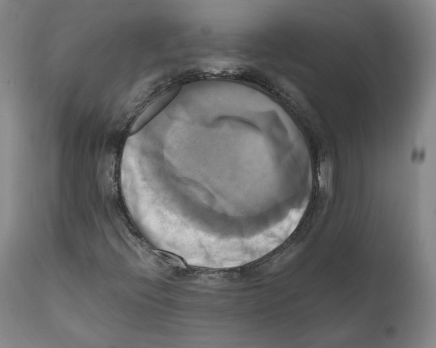 X0000110731396200907101417