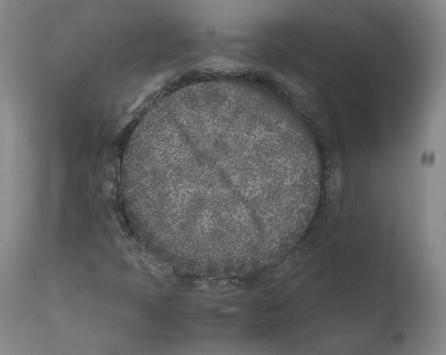 X0000110731397200907101417
