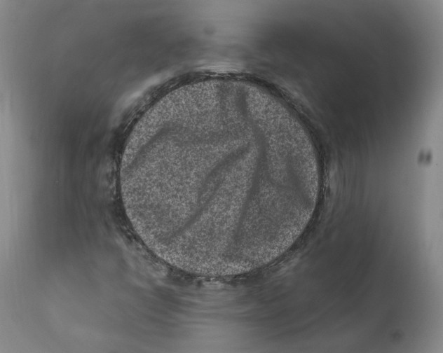 X0000110731398200907101417