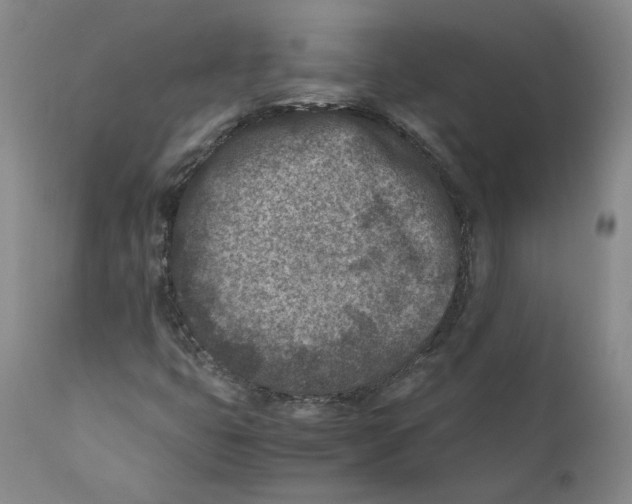 X0000110731399200907101417