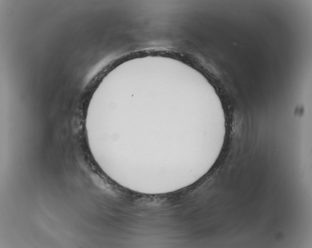 X0000110731400200907101417