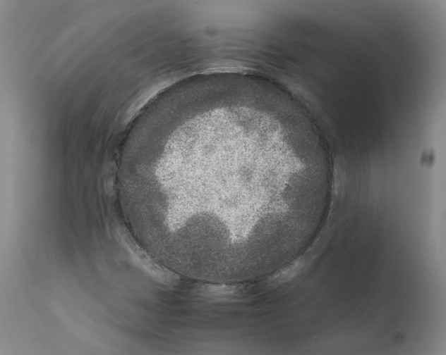 X0000110731401200907101417