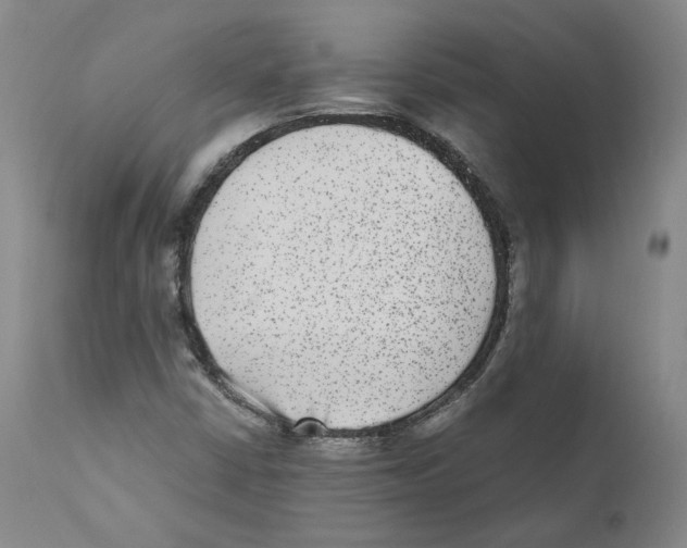 X0000110731402200907101417