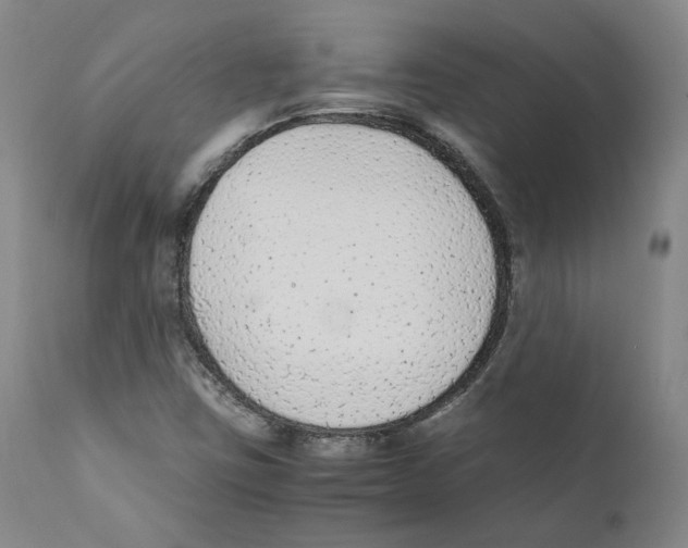 X0000110731403200907101417