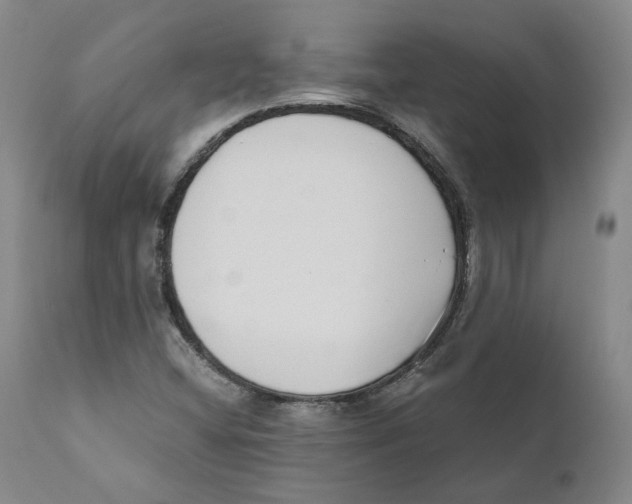 X0000110731404200907101417