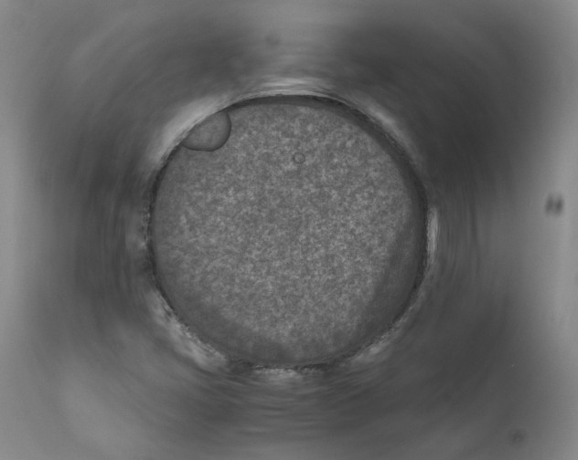 X0000110731405200907101417