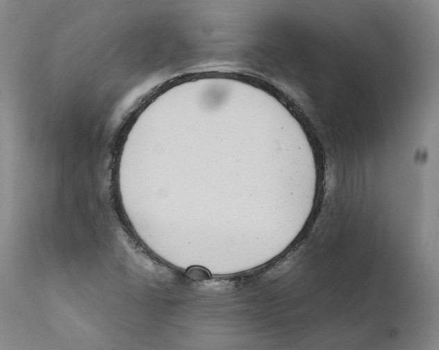 X0000110731406200907101417