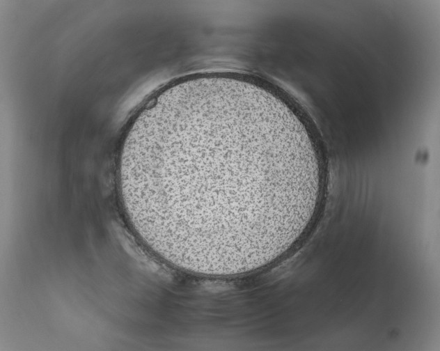 X0000110731407200907101417