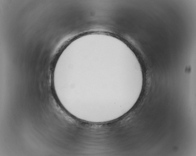 X0000110731408200907101417